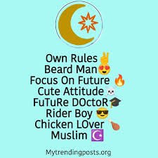 Instagram Bio for Boys Muslim