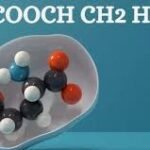 HCOOCH CH2 H2O